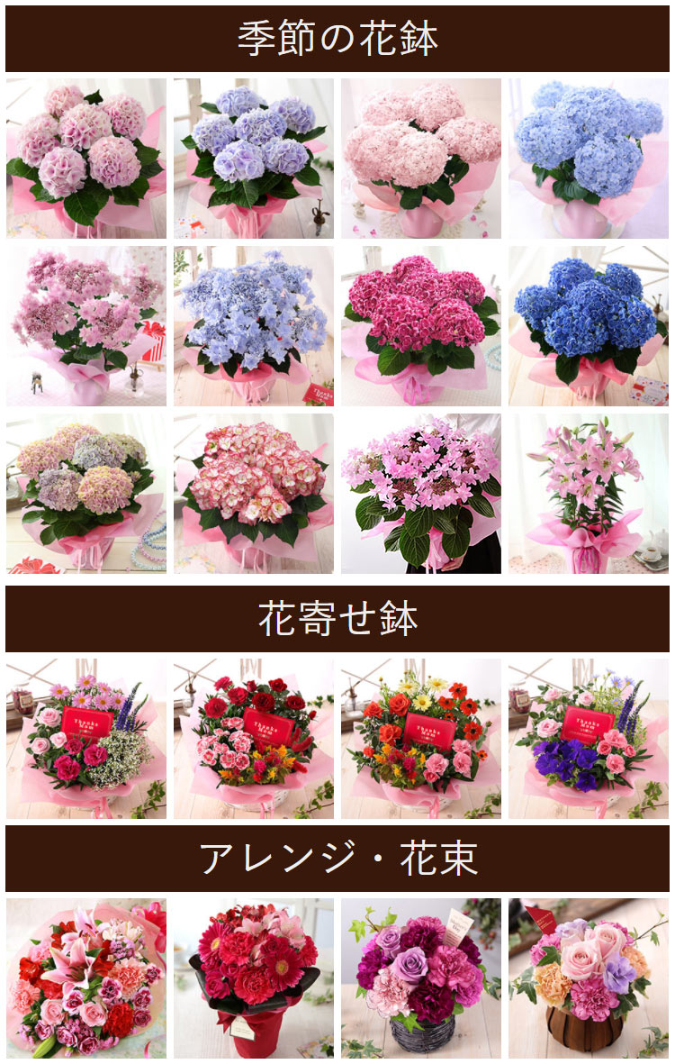 楽天 母の日 プレゼント ギフト 花 鉢植え アジサイ バラ ユリ カーネーション 寄せ鉢 アレンジ 花束 スタンディングブーケの売れ筋人気ランキング商品