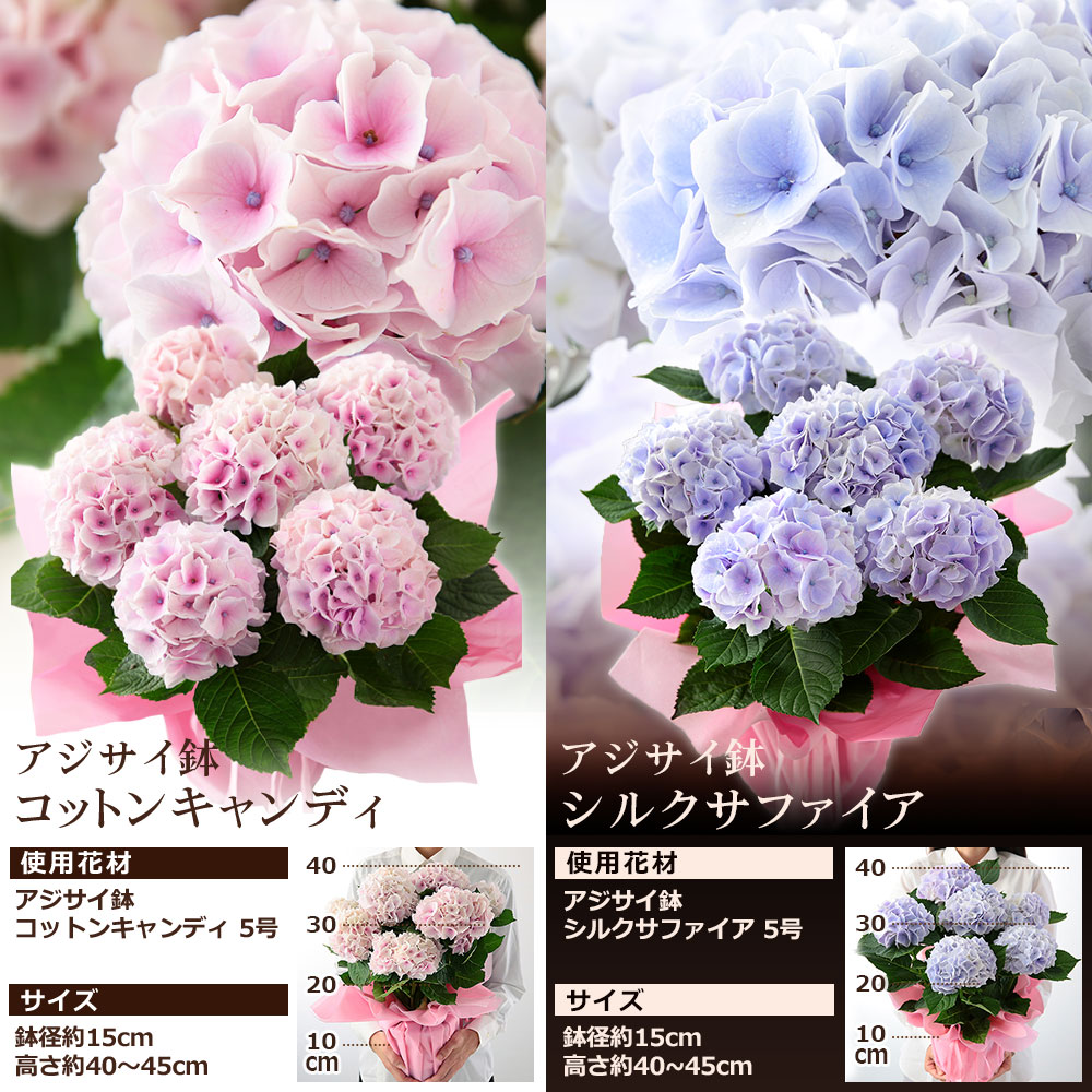 楽天 母の日 プレゼント ギフト 花 鉢植え アジサイ バラ ユリ カーネーション 寄せ鉢 アレンジ 花束 スタンディングブーケの売れ筋人気ランキング商品