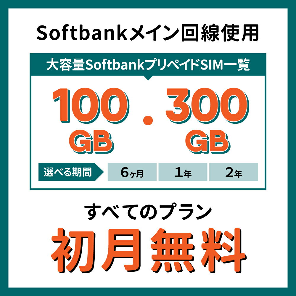 公式通販店舗 Softbank回線プリペイド 有効期限６ヶ月SIMカード SIM50GB／月 その他