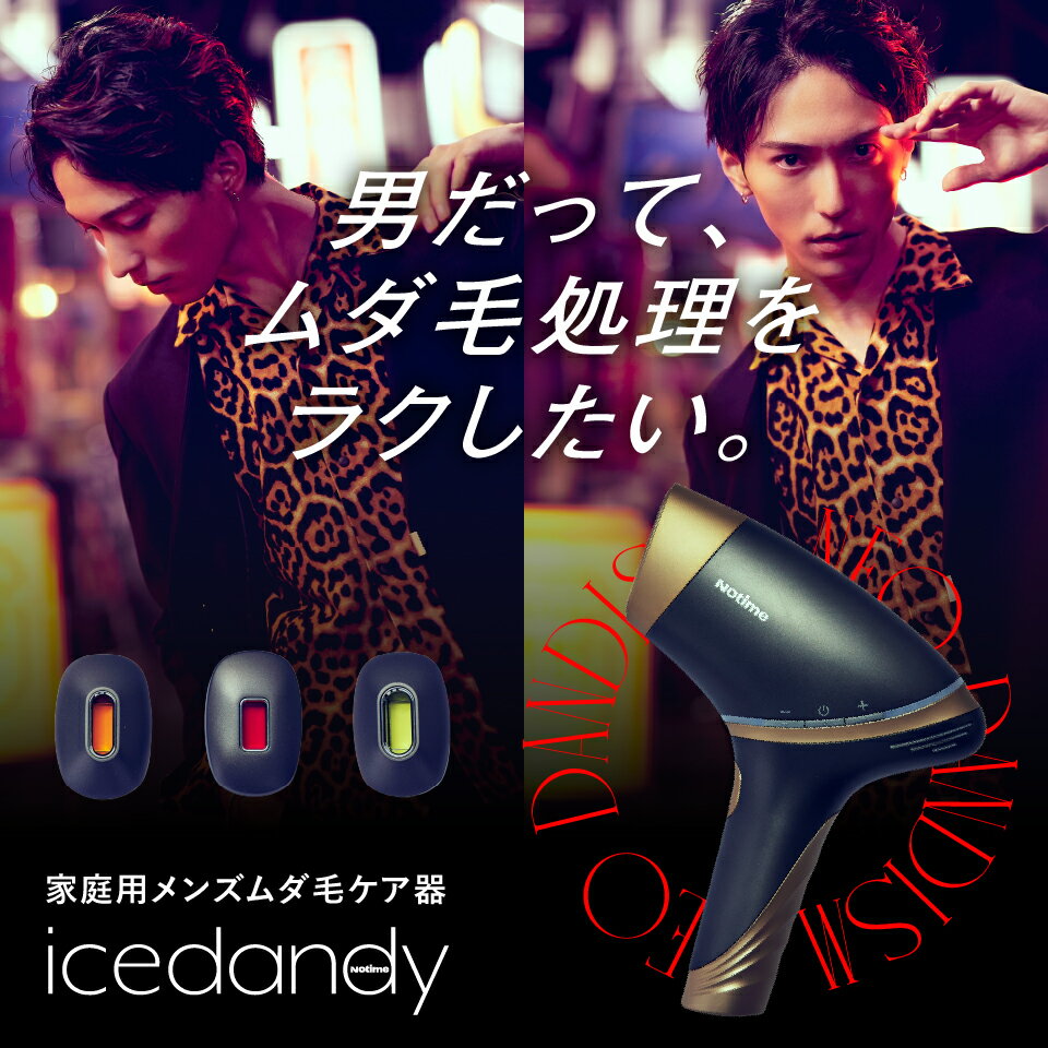 アイスダンディ icedandy メンズ脱毛器 SKB-2108 | gulatilaw.com