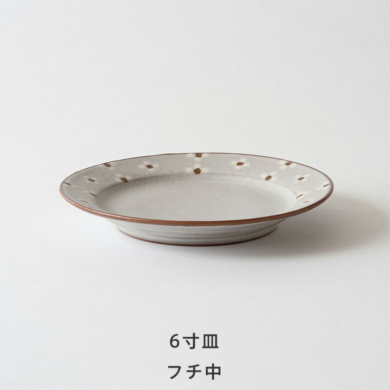 【楽天】葛西国太郎 DAISY（デイジー） 6寸皿の売れ筋人気ランキング商品