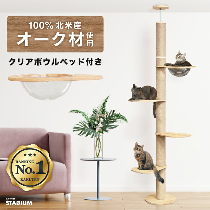 楽天 キャットタワー 突っ張り 北欧 天然素材 突っ張り式 猫タワー 248cm スリム 大型猫 木製 省スペース おしゃれ 多頭飼いの売れ筋人気ランキング商品