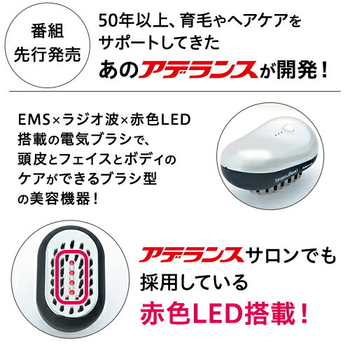 【楽天】電気ブラシ スマスビート|アデランス 頭皮 フェイス ボディ ケア EMSの売れ筋人気ランキング商品