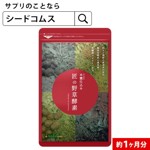 楽天 匠の野草酵素 約1ヶ月分 ダイエット サプリ送料無料 サプリ サプリメント 酵素 野草酵素 健康食品 野菜不足 乳酸菌の売れ筋人気ランキング商品