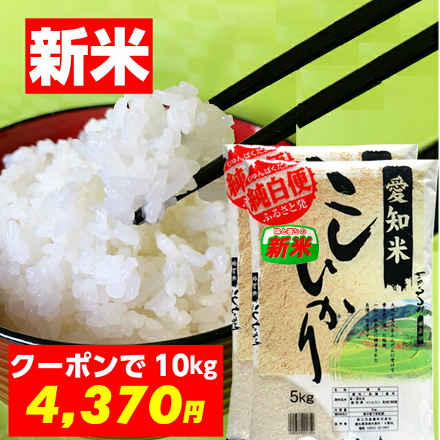 楽天 新米 10kg こしひかり 5kg 2 愛知県産 令和2年産 送料無料 コシヒカリ お米の売れ筋人気ランキング商品