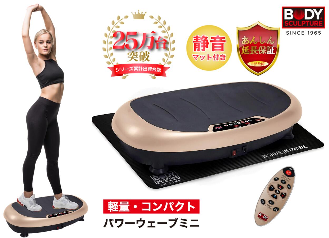 振動マシン パワーウェーブミニ - ダイエットグッズ