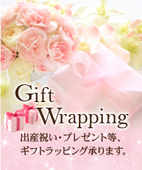 Gitt Wrapping