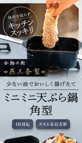 ミニミニ天ぷら鍋角型