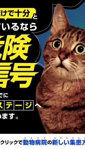 動物病院サプリバナー