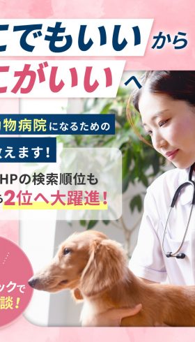 動物病院サプリバナー