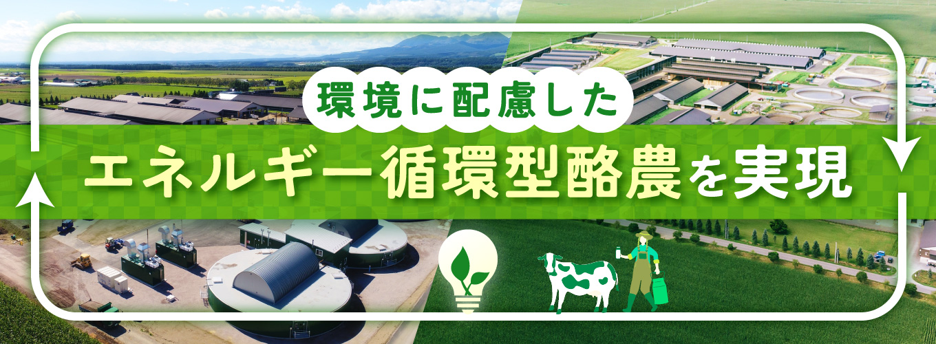 デザイン制作サービス