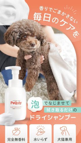 ペット用泡ドライシャンプー「PeQoly-ペコリー」