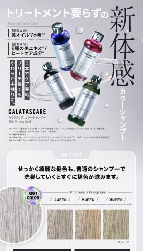 トリートメント要らずの新体感カラーシャンプー