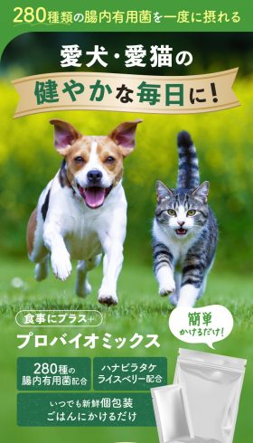 食事にプラス+プロバイオミックス